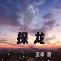 探龙